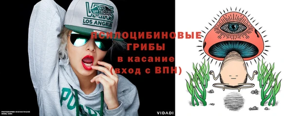крисы Балахна