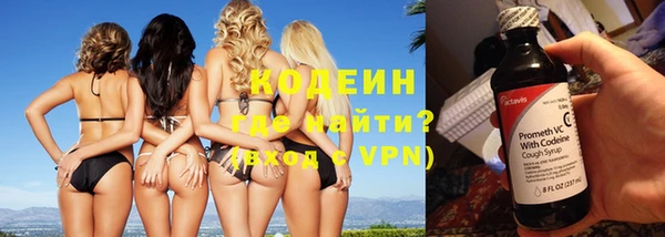 хмурый Белокуриха