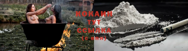 крисы Балахна
