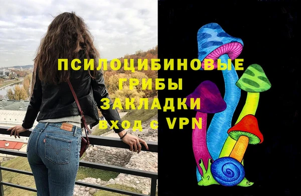 хмурый Белокуриха