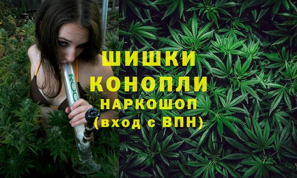 хмурый Белокуриха