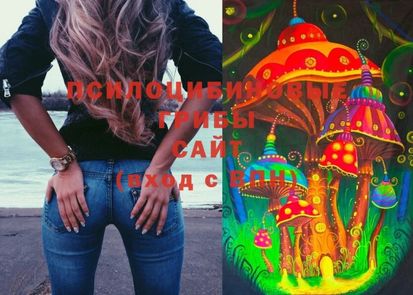 хмурый Белокуриха
