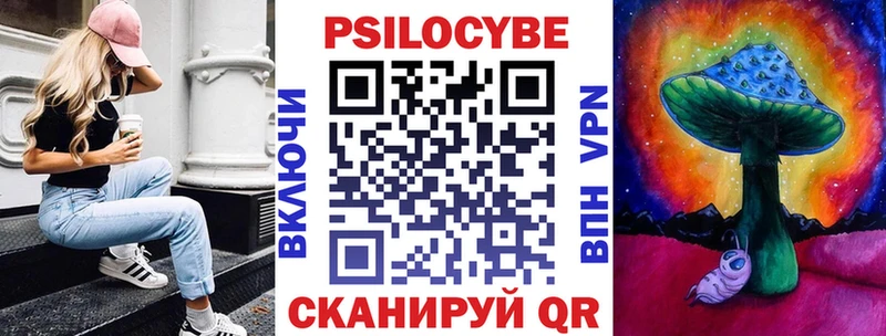 Купить где  Чебаркуль  Псилоцибиновые грибы Psilocybe 